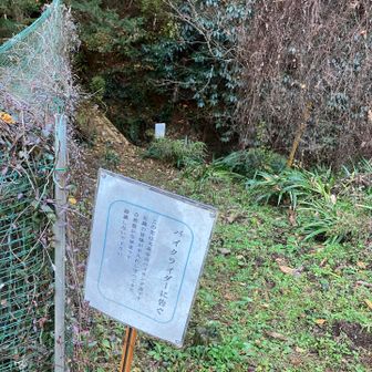 バイクライダーが来るのだろうか