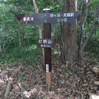 特に何も無し
