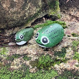 山頂のカエル🐸？
