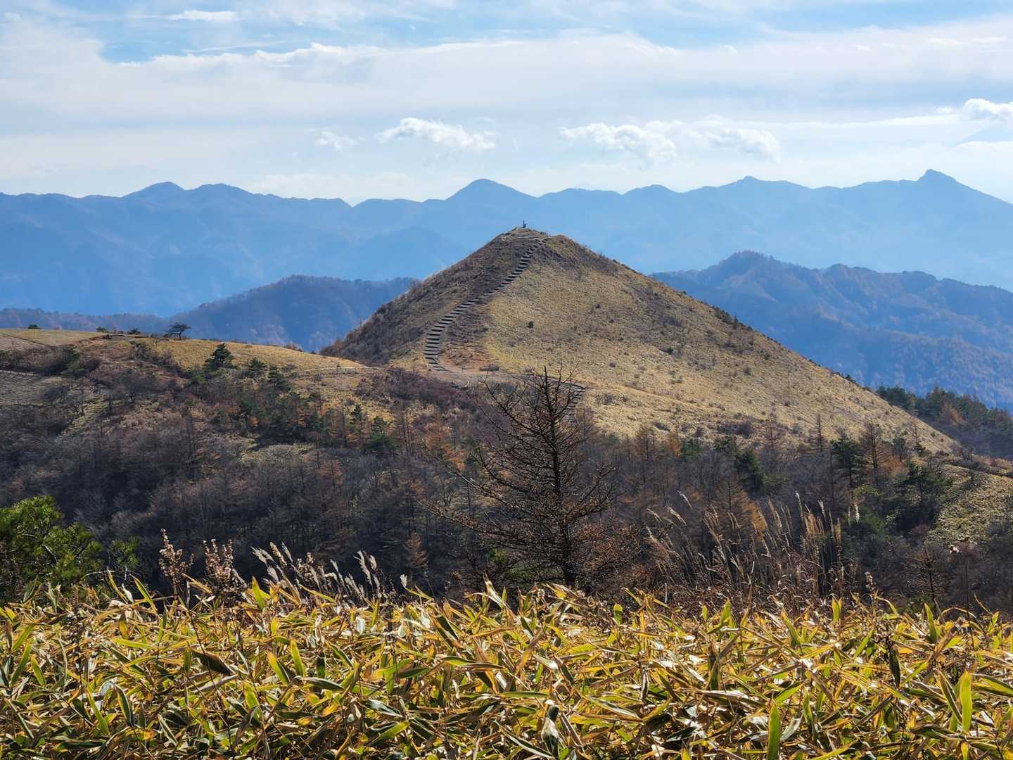 しし岩登山口-平沢山 往復コースの写真