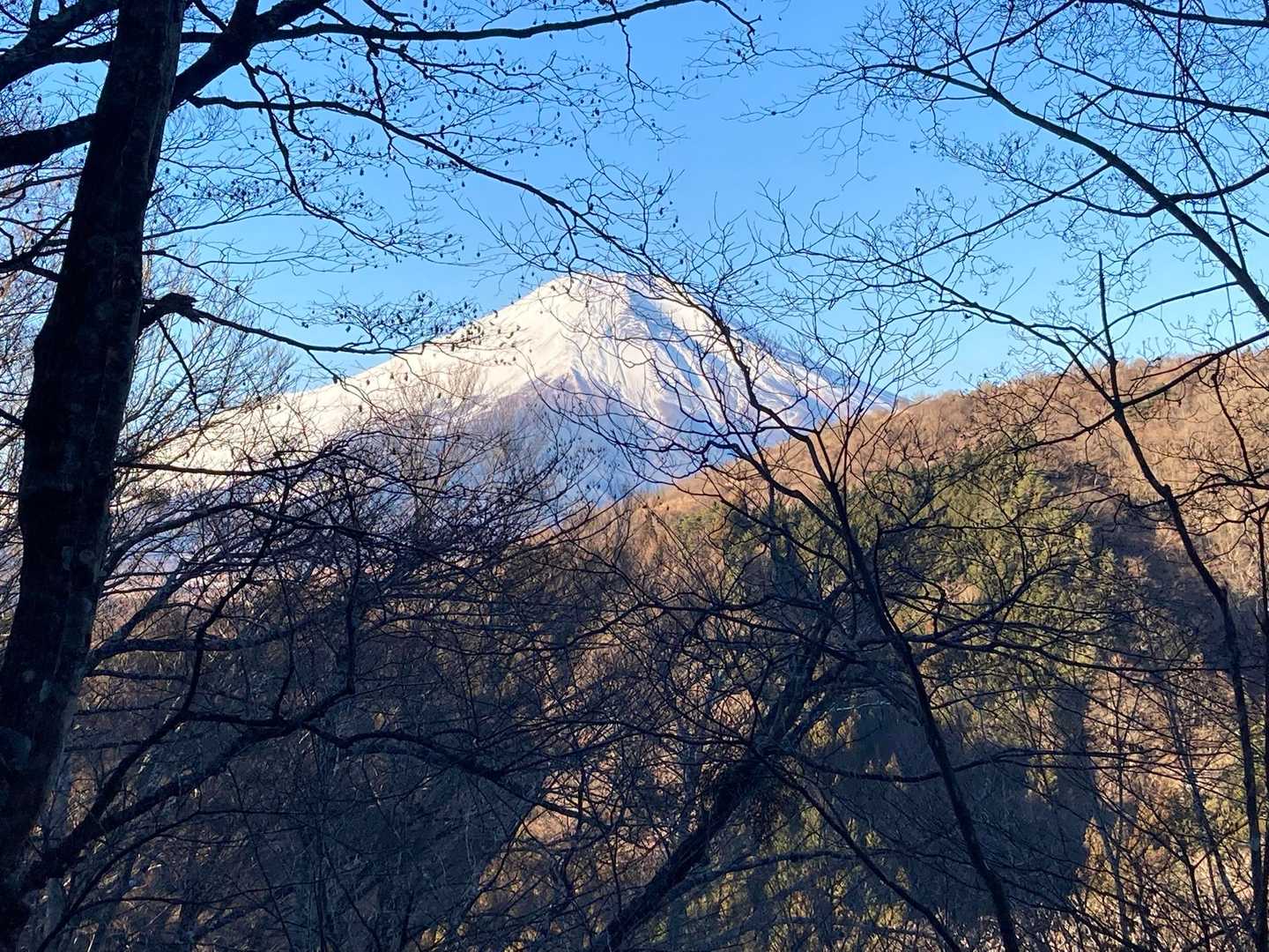 木々の間から富士山見えて嬉しい☺️