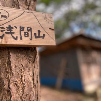 山頂まで石段でした。