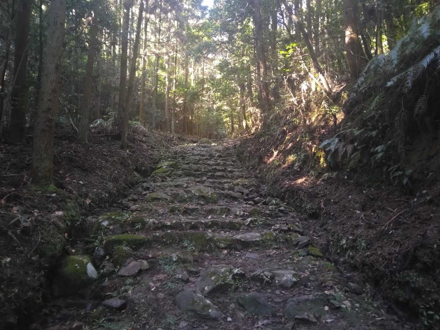 登り返して‥🚶‍♂