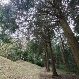 左は史跡の土塁…総延長約8キロにもなるとのこと！
