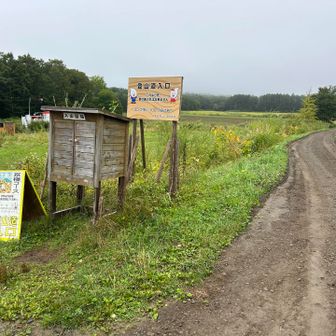 登山ポストだ