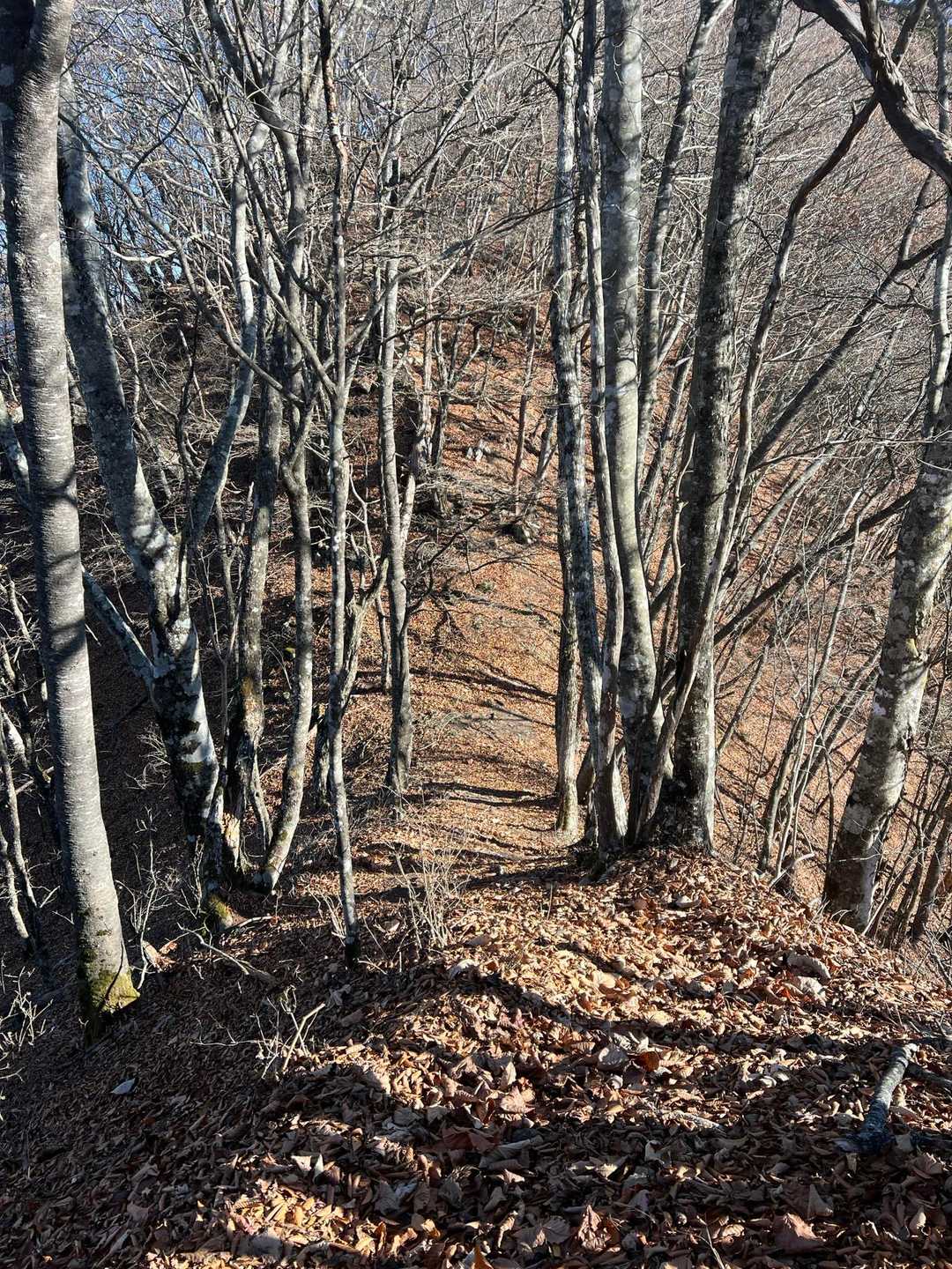 三頭山手前の急坂