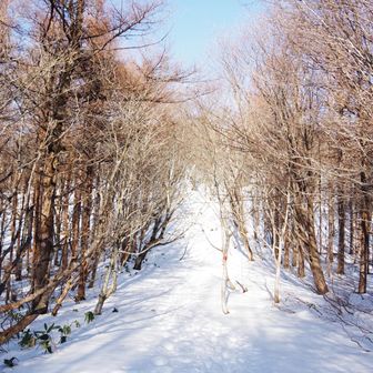 (もう、ココで、クルゥ～っと横移動して帰ってもイイカモ、なんて思ったり (＾-＾；))
いや、頑張れば、その先に、
ご褒美あるのは知ってんだ
そう、知ってる
だから 泣きごと言いつつ、登るんだ∠(　˙-˙  )／