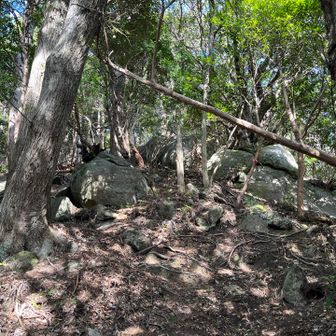 ルートミスが発生中
✳︎小規模