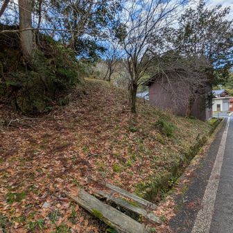 柵沿いに歩いていくと
ここにでた