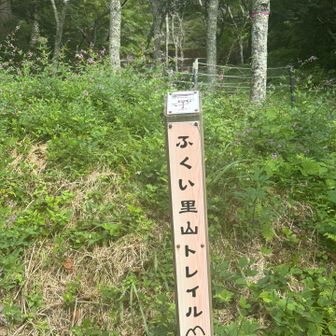がんばりますよ〜