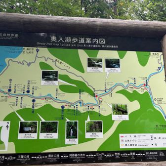 うん、メインどころはおさえた！満足✨