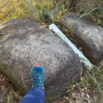 三角点無いので石にタッチ。
