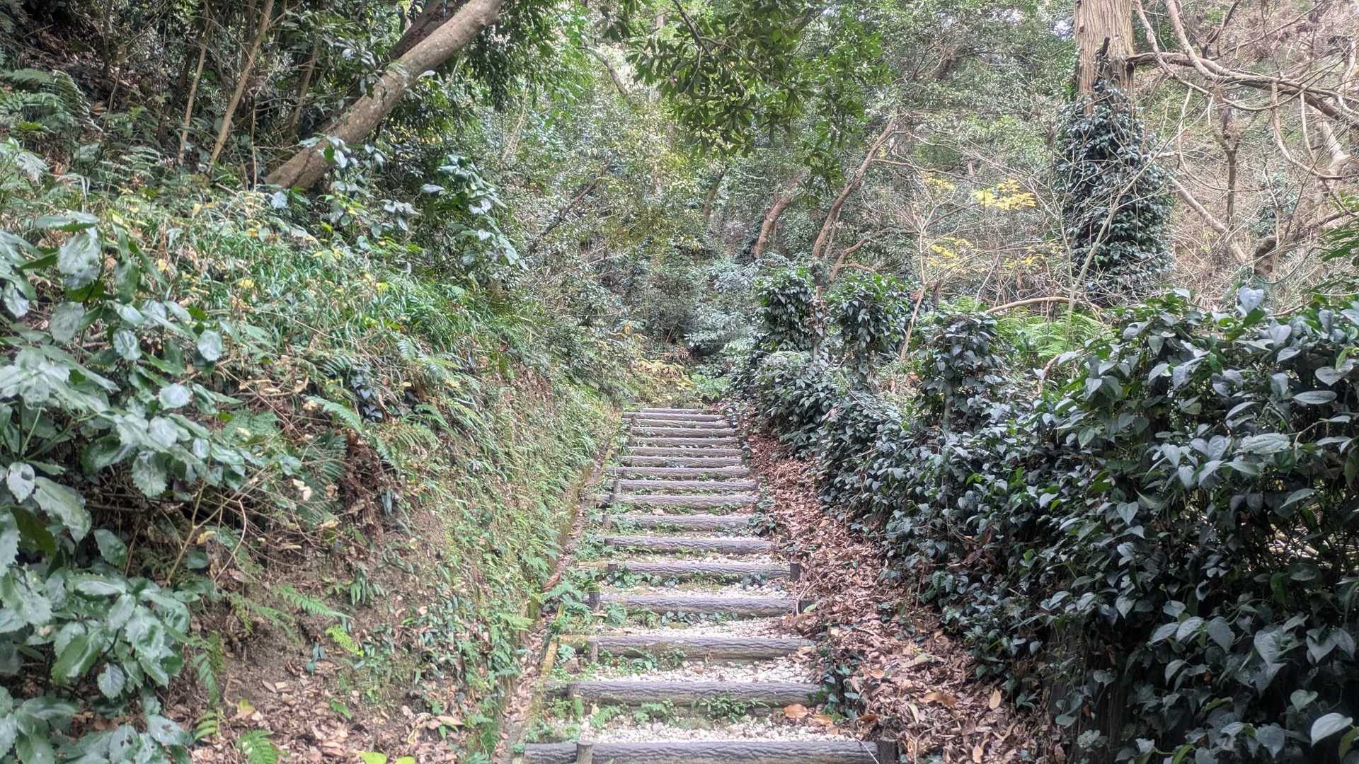 寄り道いっぱいでスタートが遅くなってしまいましたが…　ここからが軌跡🏕️天神山へスタートです👣
