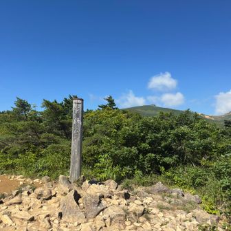 薬師岳

暑すぎてここまで登ってきただけでへろへろ😵‍💫