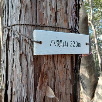 ⑫八頭山