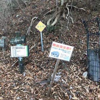 九州には無い看板