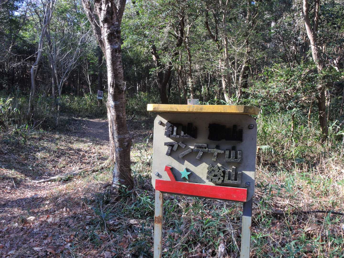 一旦舗装道路に出て、また総山を目指して登り返します。💪😤
