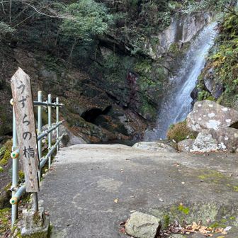 うずらの橋を越えると…