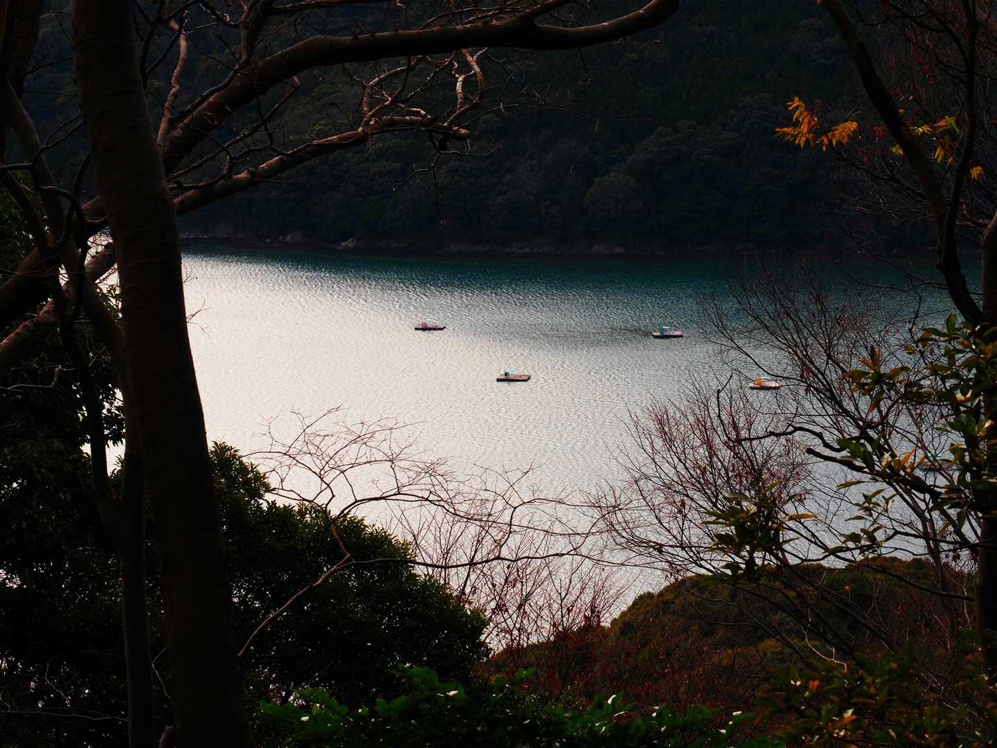 龍仙山-平山 周回コースの写真