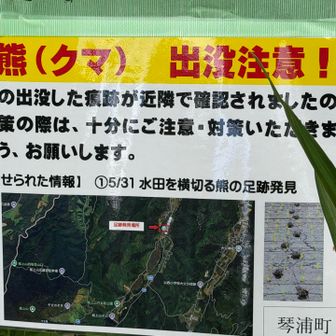 熊🐻出没注意⚠️の看板🪧