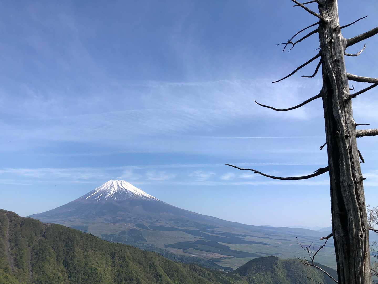 須山愛鷹登山口-前岳-位牌岳 往復コースの写真