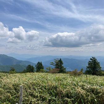 36、白草山へ㉜
南東方面の景色。さすがにここから富士山は見えないか