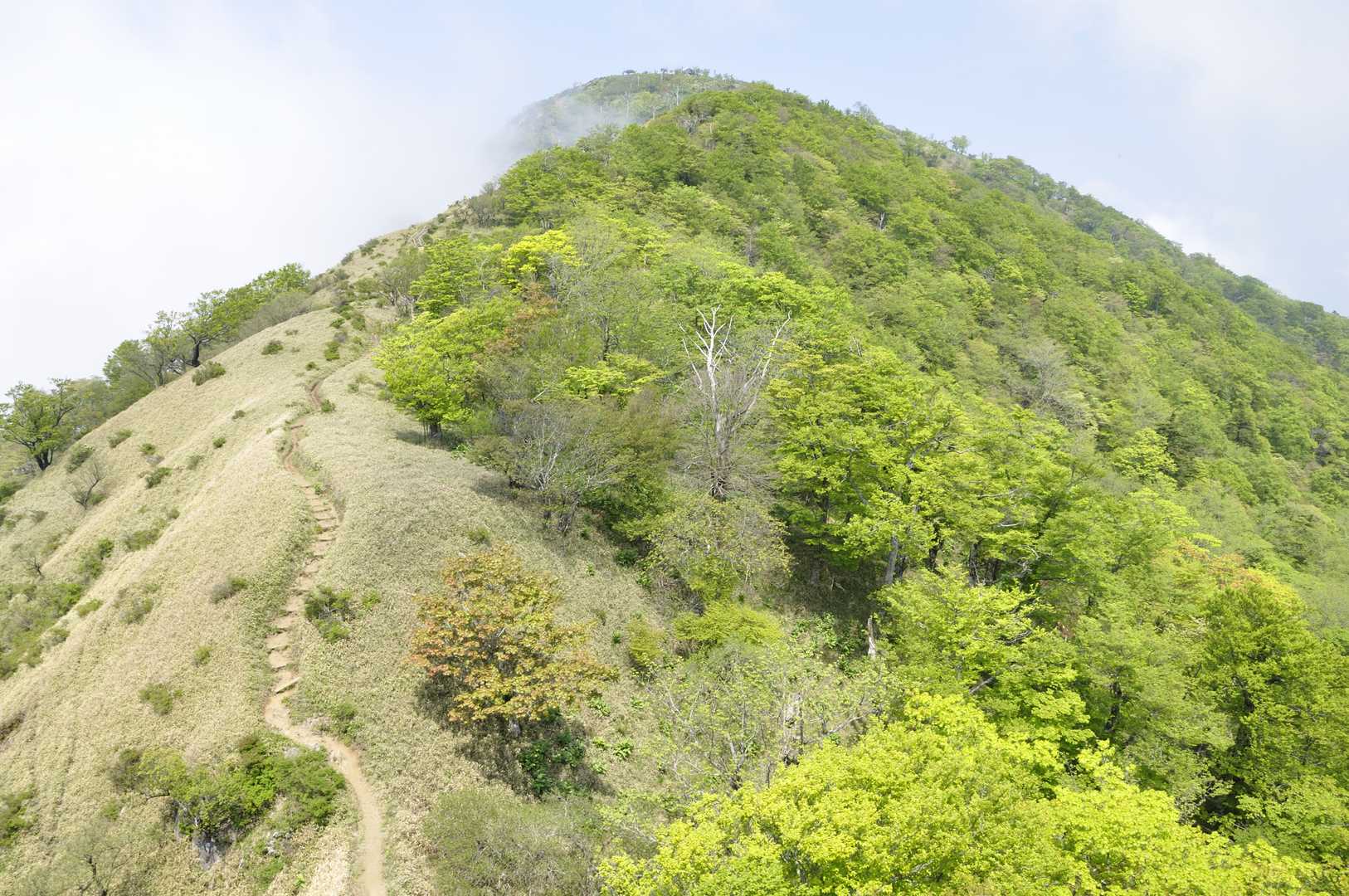 蛭ヶ岳の写真