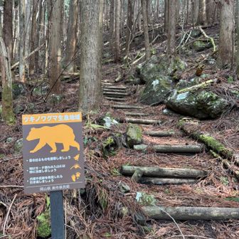 熊に細心の注意を払って登ります。
ホイッスルは携帯していました。