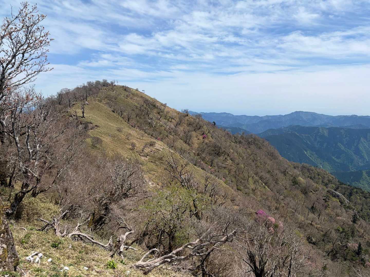春和景明な本峰が現れる

もうすぐ、山肌が純白に染まるかな！