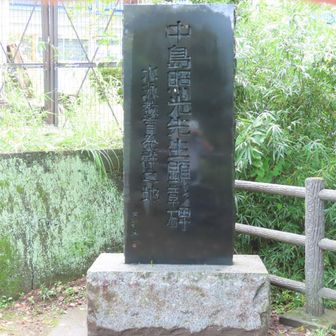 橋のたもとにある水泳教育発祥の地の碑