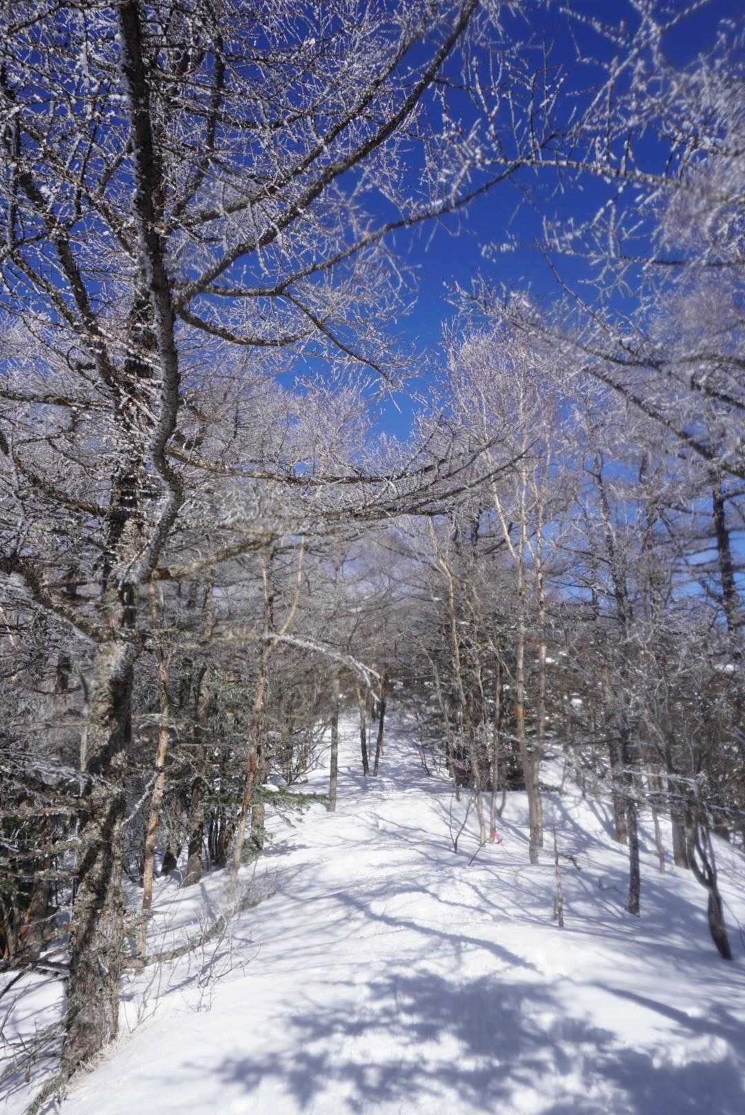 高峰温泉バス停-高峰神社-高峯山 往復コースの写真