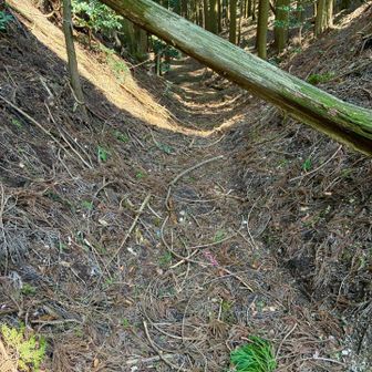 峠で右折し、下山します。