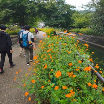 皆とさんぽ楽しいなぁ。
