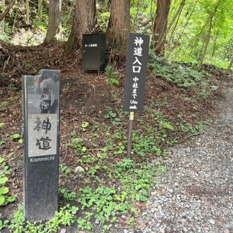 杉林の中の神道をどんどん進み、火の御子社への入り口を見落とす💦やはり熊スプレー誤噴射が気になり集中できない🌶️🌶️🌶️