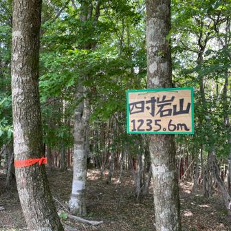 やっと着きました。