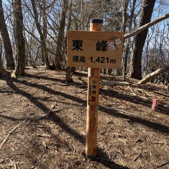 ここからバリルート。最初のグレピー。