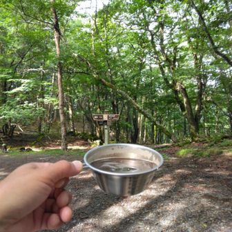 はー、コーヒーで一服、今日はここまで、
笠取山はのぼらず😄