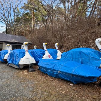 春になったら稼働するのかな🤗🦢