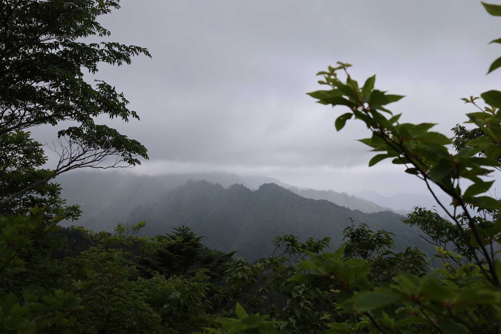 杉ヶ越-新百姓山 往復コースの写真
