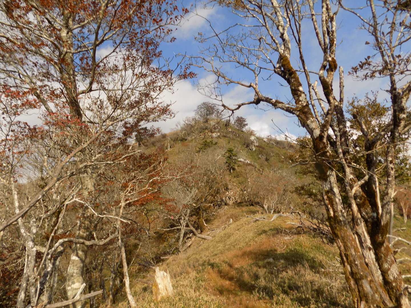 日和田登山口-石立山 往復コースの写真