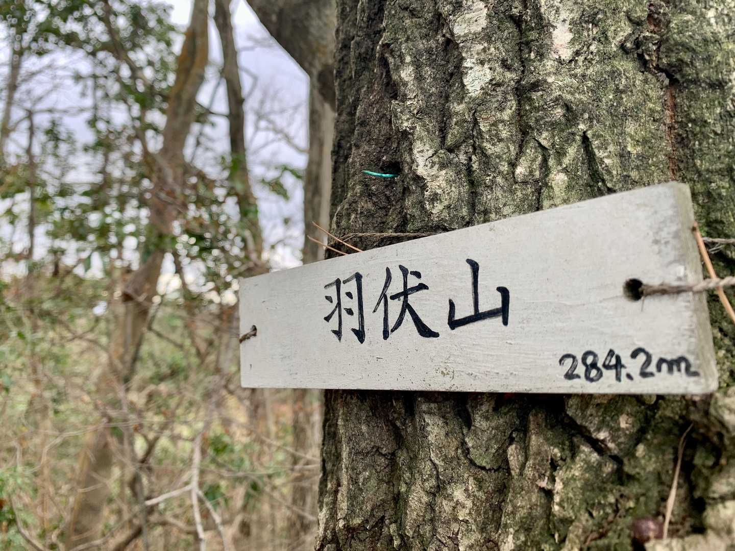羽伏山　284.2m