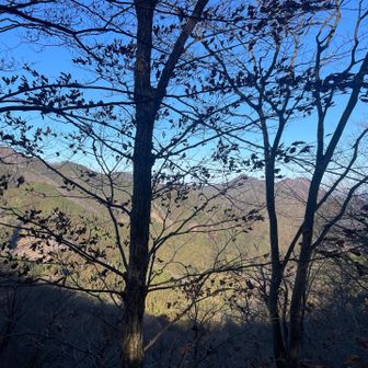 木々の向こうに時々お山が見える
横瀬の二子山や焼山方面かな