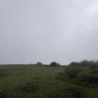 予想通り眺望なし🌫️
それでもここで一服