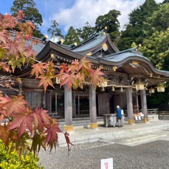 もみじ色づいてきた