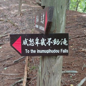 威怒牟畿不動滝