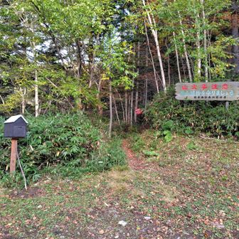 登山口、駐車場は６番手でした。
