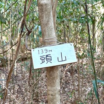 山頂標識はYAMAPの山頂からまあまあ手前にありました