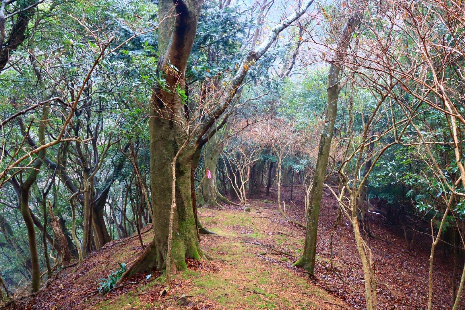 …レーザートラップを避けながら進むかのごとくに慎重に…。