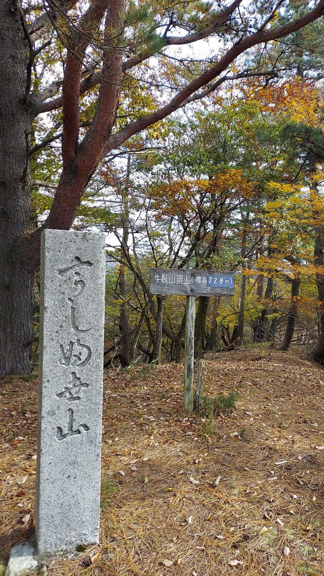 牛伏山　 7287m