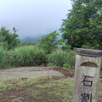 くー富士山見えず。ベンチがいくつかあり、広い頂上。